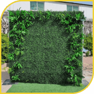 Mur Tropical