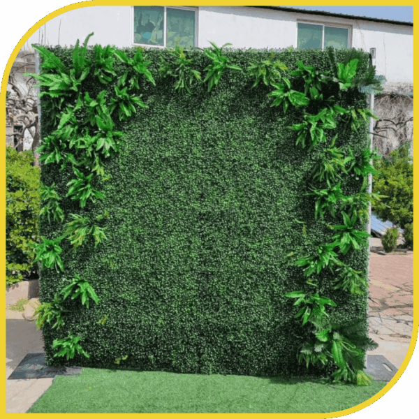 Mur Tropical