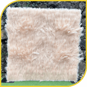 Mur de Pampas