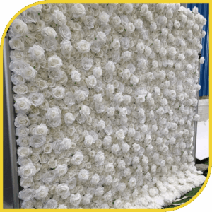 Mur de Roses Blanches