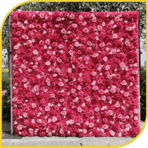 Mur de Roses Fuchsia