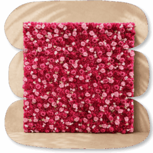 Mur de Roses Fuchsia