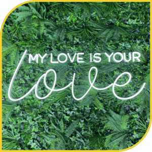 Néon "My Love is Your Love"