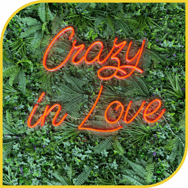 Néon "Crazy in Love"