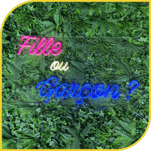 Néon "Fille ou Garçon ?"