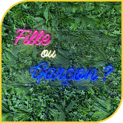 Néon "Fille ou Garçon ?"