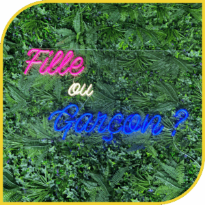 Néon "Fille ou Garçon ?"
