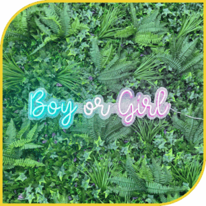 Néon "Boy or Girl"