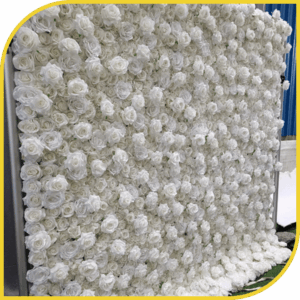 Mur de Roses Blanches