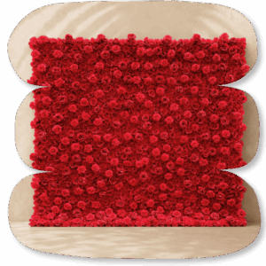 Mur de Roses Rouges