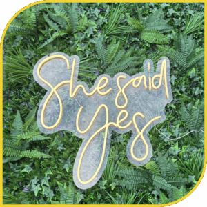 Néon "She said yes"