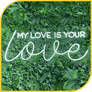 Néon "My Love is Your Love"