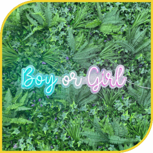 Néon "Boy or Girl"