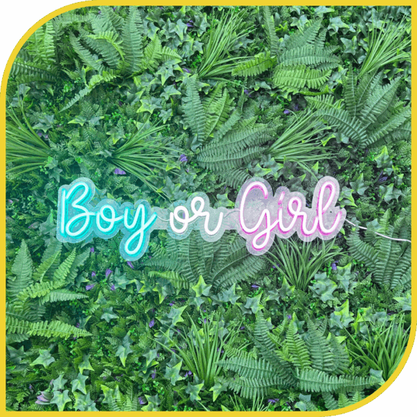 Néon "Boy or Girl"