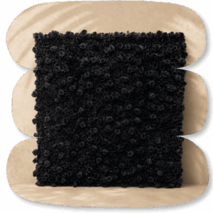 Mur de Roses Noires