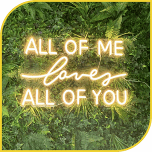 Néon "All of me loves all of you"