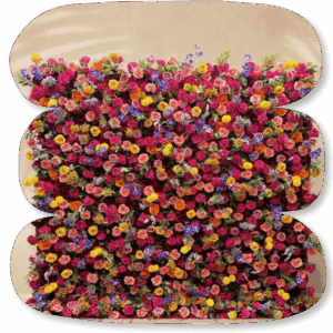 Mur mixte floral Soleil