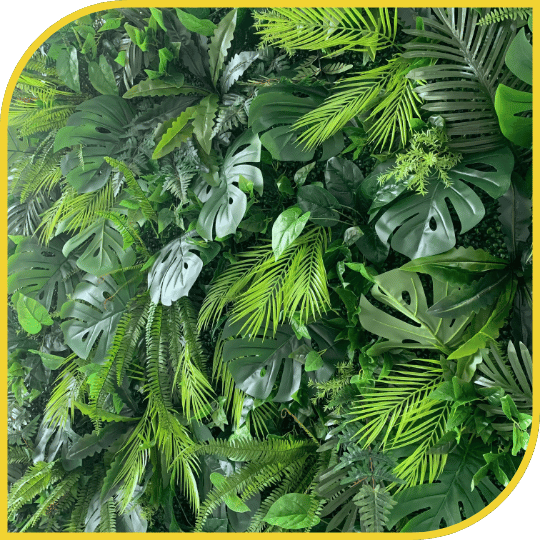 Mur Jungle – Image 2