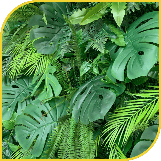 Mur Jungle – Image 3