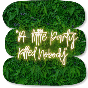 Néon LED « A Little Party Killed Nobody »