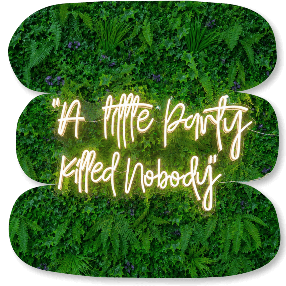 Néon LED « A Little Party Killed Nobody »