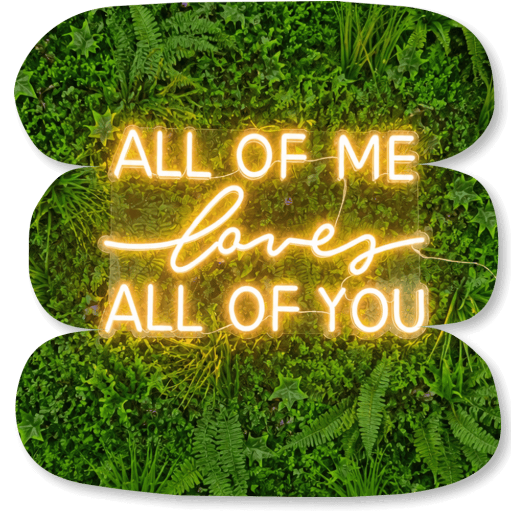 Néon LED « All of Me Loves All of You »
