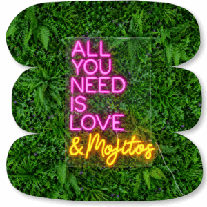 Néon LED « All You Need is Love & Mojitos »