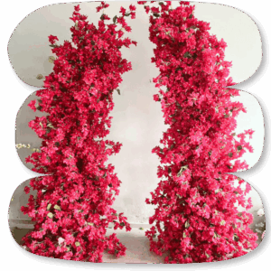 Arches Florales Bougainvilliers Duo