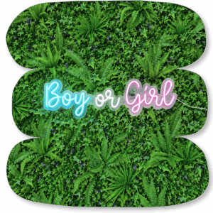 Néon LED « Boy or Girl »