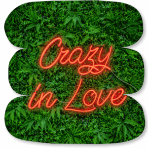Néon LED « Crazy in Love »