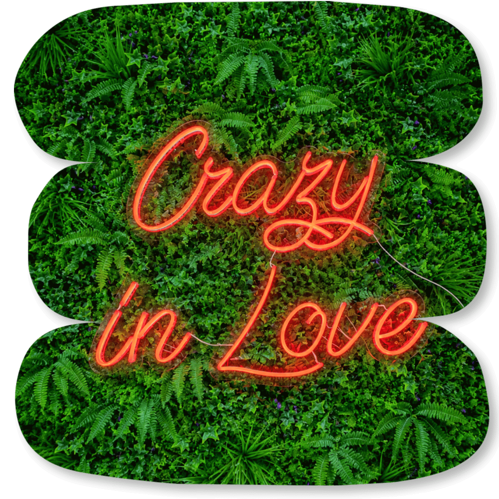 Néon LED « Crazy in Love »
