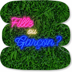 Néon LED « Fille ou Garçon ? »