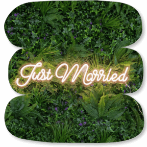 Néon LED « Just Married »