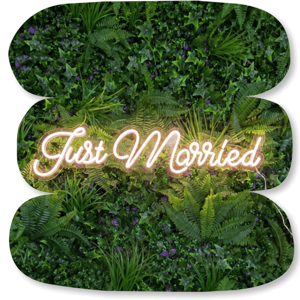 Néon LED « Just Married »