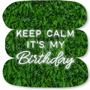 Néon LED « Keep Calm It's My Birthday »