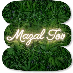 Néon LED « Mazal Tov »