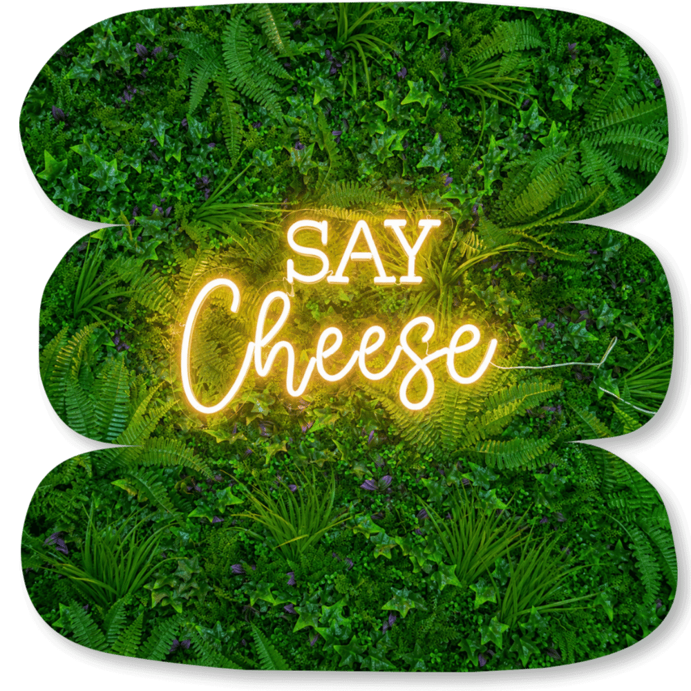 Néon LED « Say Cheese »