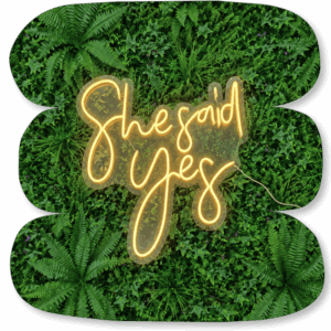 Néon LED « She Said Yes »