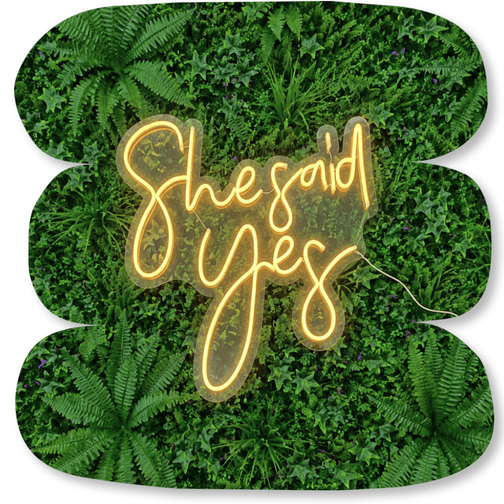Néon LED « She Said Yes »
