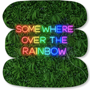 Néon LED « Somewhere Over the Rainbow »