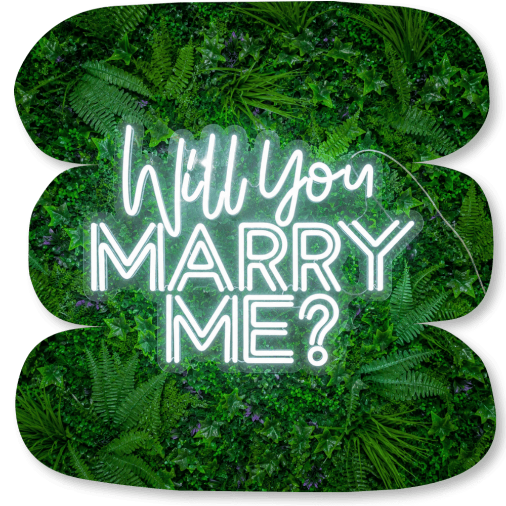 Néon LED « Will You Marry Me? »